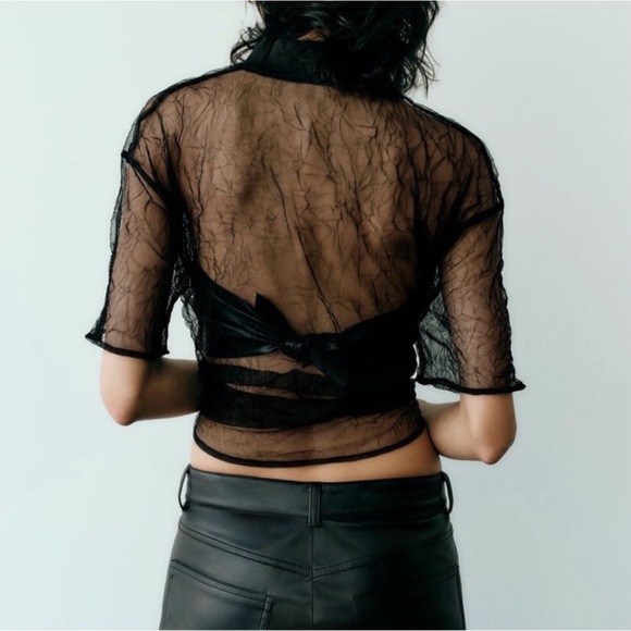 Zara Elegant Black Sheer Blouse - Picture 8 of 9